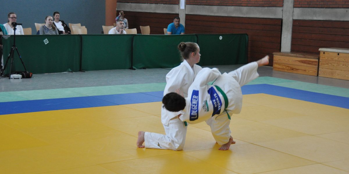 Winsen, HSV Stöckte: Judoteam bei der NJV-Katameisterschaft