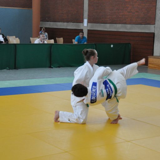 Winsen, HSV Stöckte: Judoteam bei der NJV-Katameisterschaft