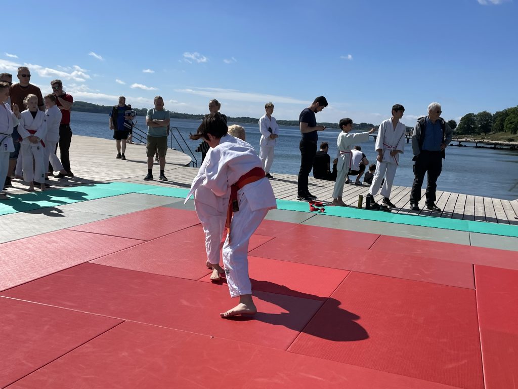 Stöckter Judoka Levi aus Winsen auf internationaler Judomatten