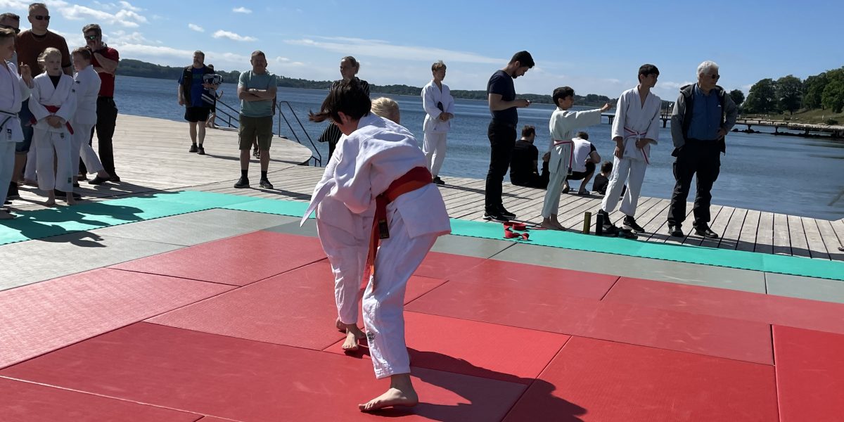 Stöckter Judoka Levi aus Winsen auf internationaler Judomatten