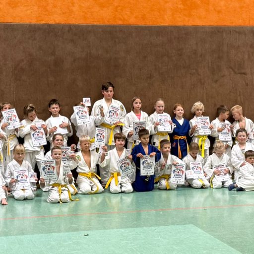 1. Holler Anfänger-Randori